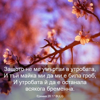 Picture 03 - Еремия 20:17 BULG - Защото не ме умъртви в - Bible Verse Picture