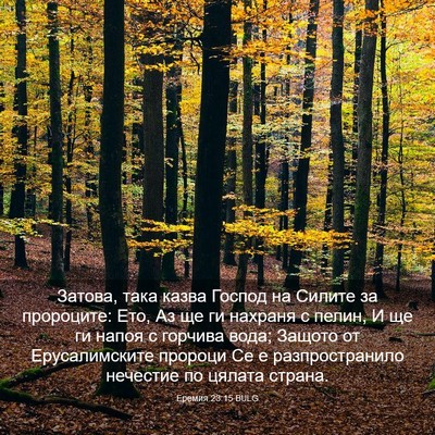 Picture 03 - Еремия 23:15 BULG - Затова, така казва Господ - Bible Verse Picture