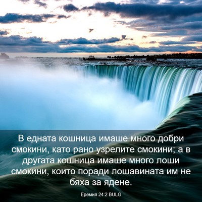 Picture 03 - Еремия 24:2 BULG - В едната кошница имаше - Bible Verse Picture