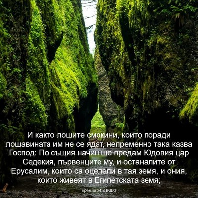 Picture 03 - Еремия 24:8 BULG - И както лошите смокини, - Bible Verse Picture