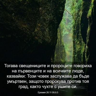 Picture 03 - Еремия 26:11 BULG - Тогава свещениците и - Bible Verse Picture