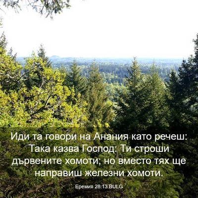Picture 03 - Еремия 28:13 BULG - Иди та говори на Анания - Bible Verse Picture