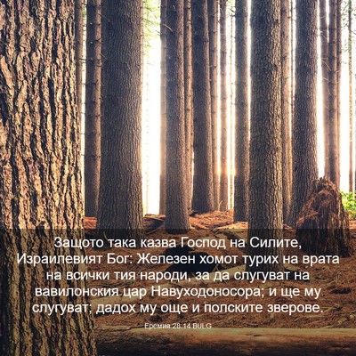 Picture 03 - Еремия 28:14 BULG - Защото така казва Господ - Bible Verse Picture