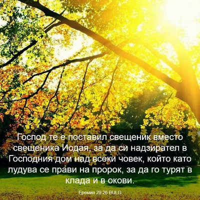 Picture 03 - Еремия 29:26 BULG - Господ те е поставил - Bible Verse Picture