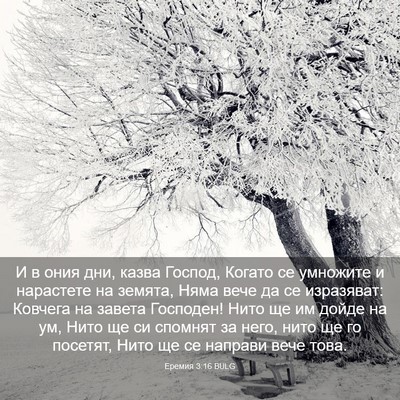 Picture 03 - Еремия 3:16 BULG - И в ония дни, казва Господ, - Bible Verse Picture