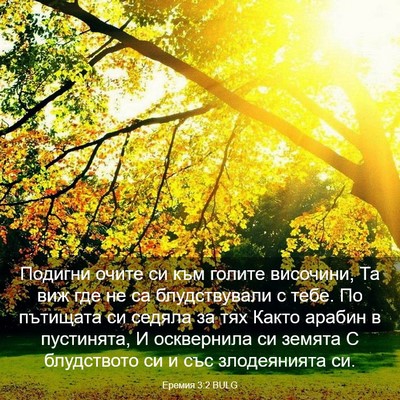 Picture 03 - Еремия 3:2 BULG - Подигни очите си към - Bible Verse Picture