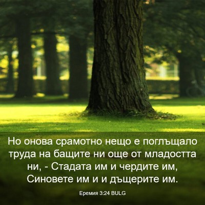 Picture 03 - Еремия 3:24 BULG - Но онова срамотно нещо е - Bible Verse Picture