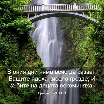Picture 03 - Еремия 31:29 BULG - В ония дни няма вече да - Bible Verse Picture