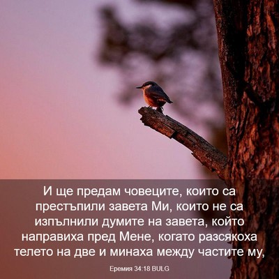 Picture 03 - Еремия 34:18 BULG - И ще предам човеците, които - Bible Verse Picture