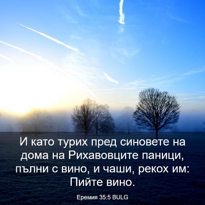 Picture 03 - Еремия 35:5 BULG - И като турих пред синовете - Bible Verse Picture