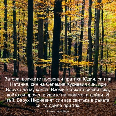 Picture 03 - Еремия 36:14 BULG - Затова, всичките първенци - Bible Verse Picture