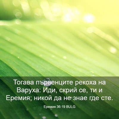 Picture 03 - Еремия 36:19 BULG - Тогава първенците рекоха - Bible Verse Picture