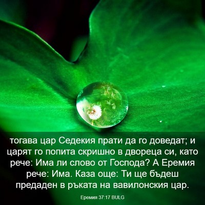 Picture 03 - Еремия 37:17 BULG - тогава цар Седекия прати - Bible Verse Picture