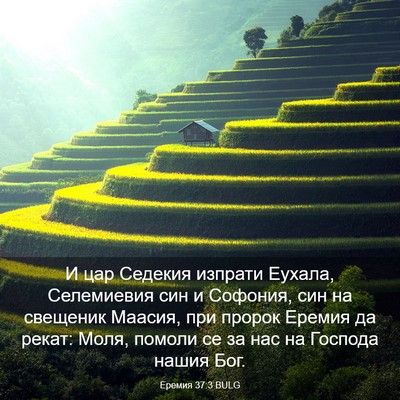 Picture 03 - Еремия 37:3 BULG - И цар Седекия изпрати - Bible Verse Picture