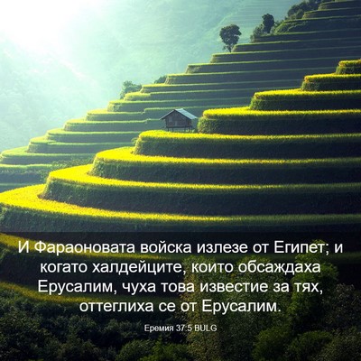 Picture 03 - Еремия 37:5 BULG - И Фараоновата войска - Bible Verse Picture