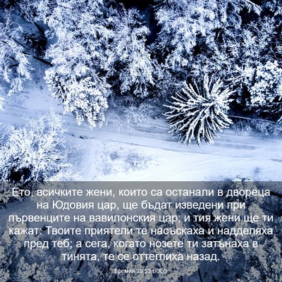 Picture 03 - Еремия 38:22 BULG - Ето, всичките жени, които - Bible Verse Picture