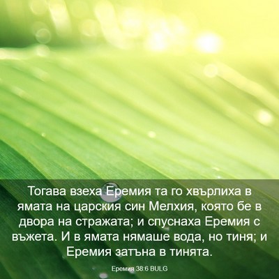 Picture 03 - Еремия 38:6 BULG - Тогава взеха Еремия та го - Bible Verse Picture