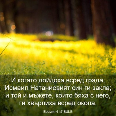 Picture 03 - Еремия 41:7 BULG - И когато дойдоха всред - Bible Verse Picture