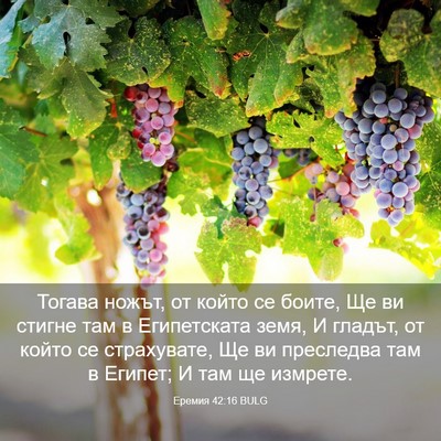 Picture 03 - Еремия 42:16 BULG - Тогава ножът, от който се - Bible Verse Picture