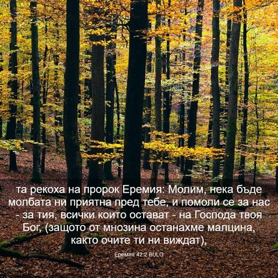 Picture 03 - Еремия 42:2 BULG - та рекоха на пророк Еремия: - Bible Verse Picture