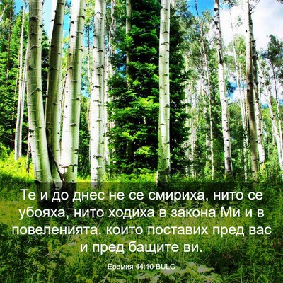 Picture 03 - Еремия 44:10 BULG - Те и до днес не се смириха, - Bible Verse Picture