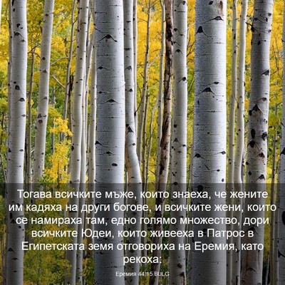 Picture 03 - Еремия 44:15 BULG - Тогава всичките мъже, - Bible Verse Picture