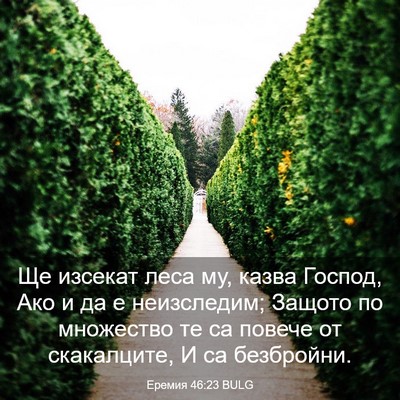 Picture 03 - Еремия 46:23 BULG - Ще изсекат леса му, казва - Bible Verse Picture