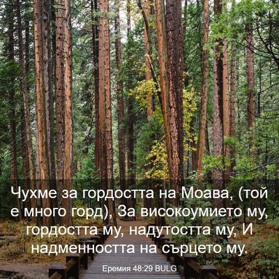 Picture 03 - Еремия 48:29 BULG - Чухме за гордостта на - Bible Verse Picture