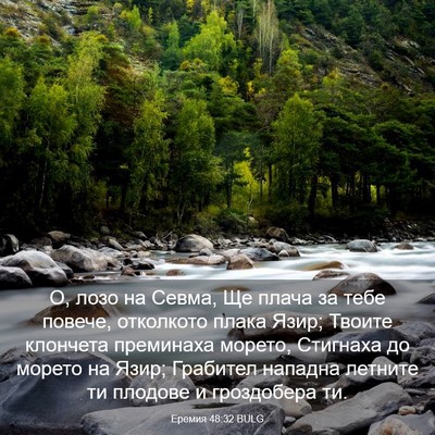 Picture 03 - Еремия 48:32 BULG - О, лозо на Севма, Ще плача - Bible Verse Picture