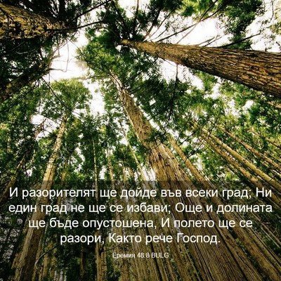 Picture 03 - Еремия 48:8 BULG - И разорителят ще дойде във - Bible Verse Picture