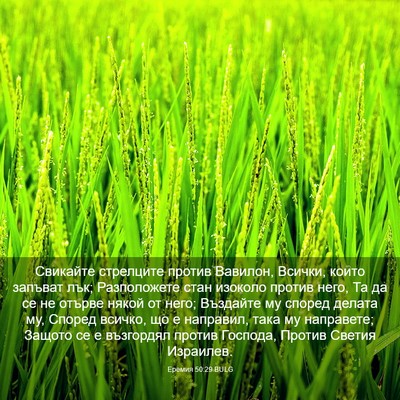 Picture 03 - Еремия 50:29 BULG - Свикайте стрелците против - Bible Verse Picture