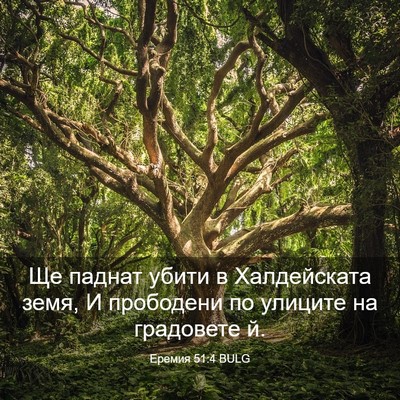 Picture 03 - Еремия 51:4 BULG - Ще паднат убити в - Bible Verse Picture
