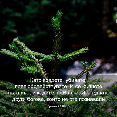 Picture 03 - Еремия 7:9 BULG - Като крадете, убивате, - Bible Verse Picture