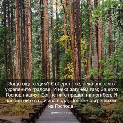 Picture 03 - Еремия 8:14 BULG - Защо още седим? Съберете - Bible Verse Picture