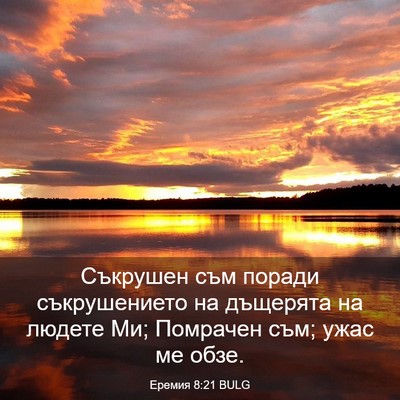 Picture 03 - Еремия 8:21 BULG - Съкрушен съм поради - Bible Verse Picture