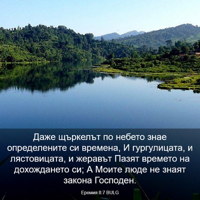 Picture 03 - Еремия 8:7 BULG - Даже щъркелът по небето - Bible Verse Picture