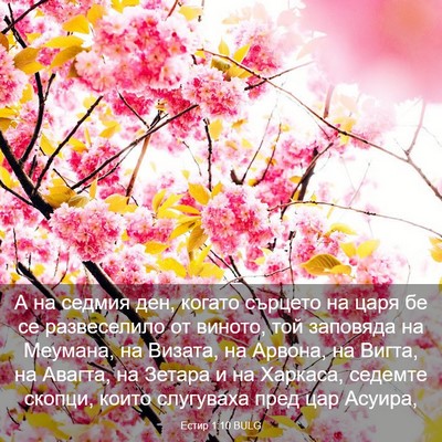 Picture 03 - Естир 1:10 BULG - А на седмия ден, когато - Bible Verse Picture