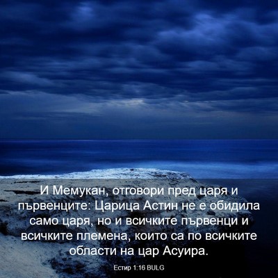 Picture 03 - Естир 1:16 BULG - И Мемукан, отговори пред - Bible Verse Picture