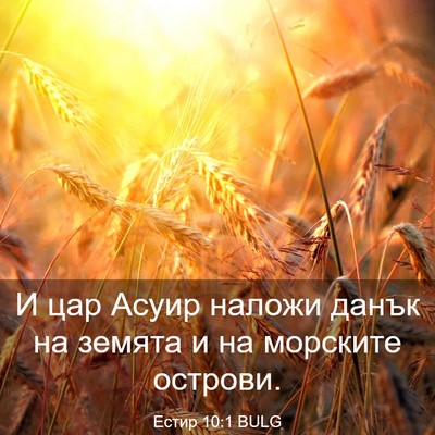Picture 03 - Естир 10:1 BULG - И цар Асуир наложи данък на - Bible Verse Picture