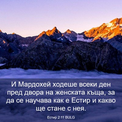 Picture 03 - Естир 2:11 BULG - И Мардохей ходеше всеки - Bible Verse Picture