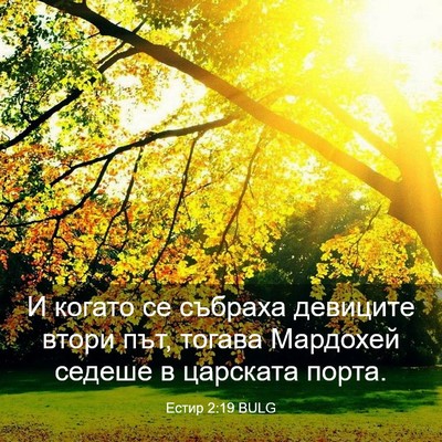 Picture 03 - Естир 2:19 BULG - И когато се събраха - Bible Verse Picture