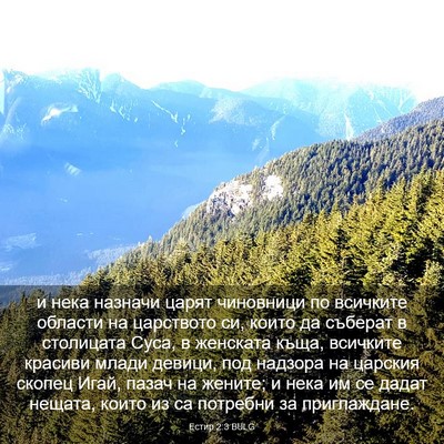 Picture 03 - Естир 2:3 BULG - и нека назначи царят - Bible Verse Picture