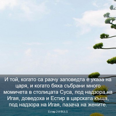 Picture 03 - Естир 2:8 BULG - И той, когато са разчу - Bible Verse Picture