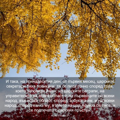 Picture 03 - Естир 3:12 BULG - И така, на тринадесетия - Bible Verse Picture