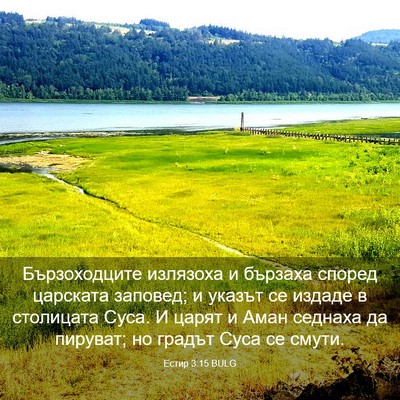 Picture 03 - Естир 3:15 BULG - Бързоходците излязоха и - Bible Verse Picture