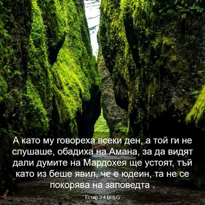 Picture 03 - Естир 3:4 BULG - А като му говореха всеки - Bible Verse Picture