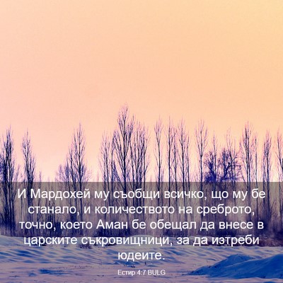 Picture 03 - Естир 4:7 BULG - И Мардохей му съобщи - Bible Verse Picture
