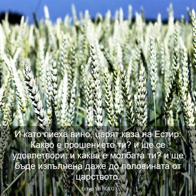 Picture 03 - Естир 5:6 BULG - И като пиеха вино, царят - Bible Verse Picture