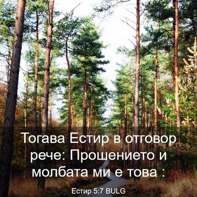 Picture 03 - Естир 5:7 BULG - Тогава Естир в отговор - Bible Verse Picture