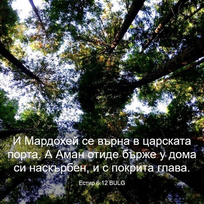 Picture 03 - Естир 6:12 BULG - И Мардохей се върна в - Bible Verse Picture